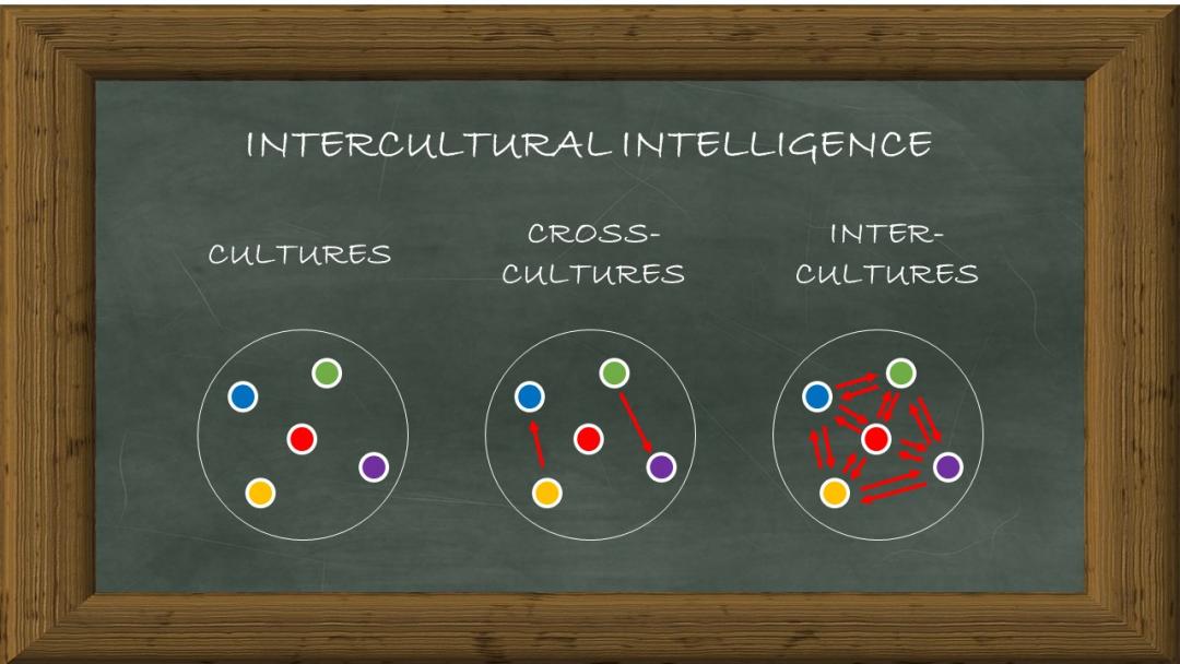 Cross & Inter-cultural Intelligence