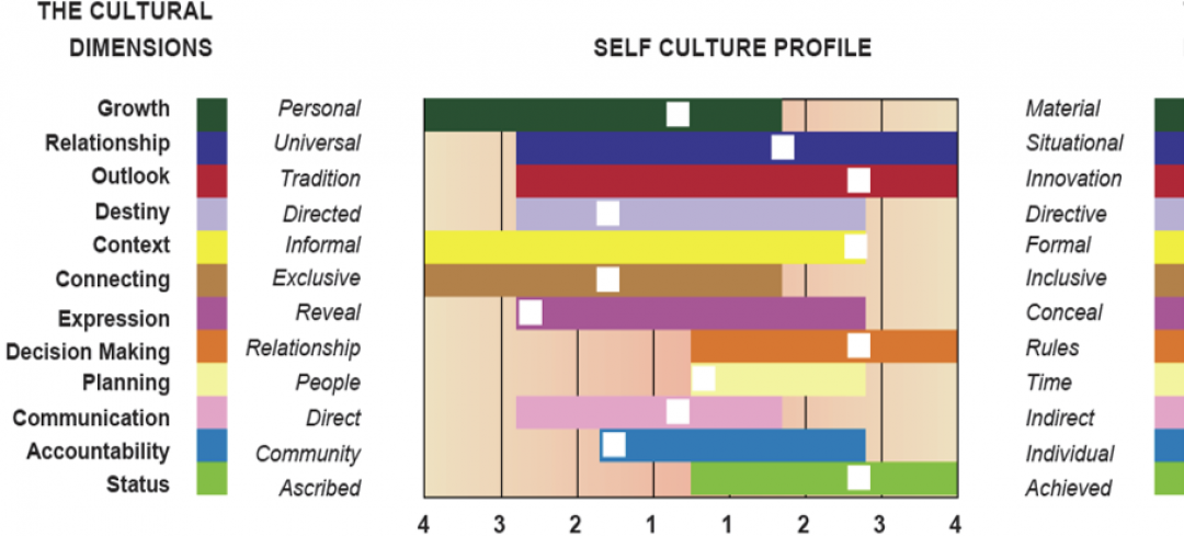 Self Culture Profile